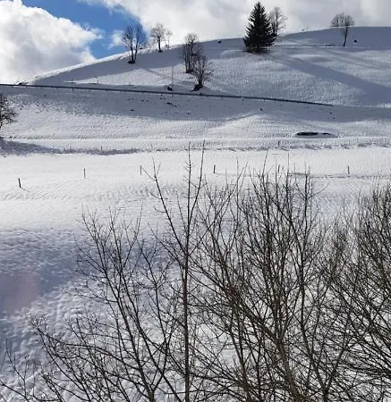 Ferienwohnung Natururlaub Muggenbrunn Todtnau Buitenkant foto