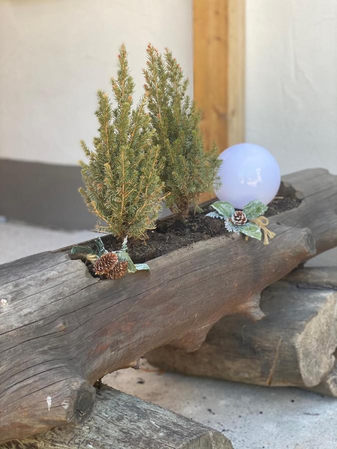 Natururlaub Muggenbrunn *