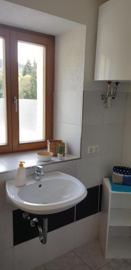 Natururlaub Muggenbrunn Apartment Todtnau