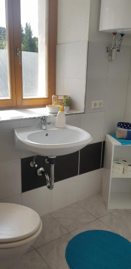 Apartment Natururlaub Muggenbrunn Todtnau