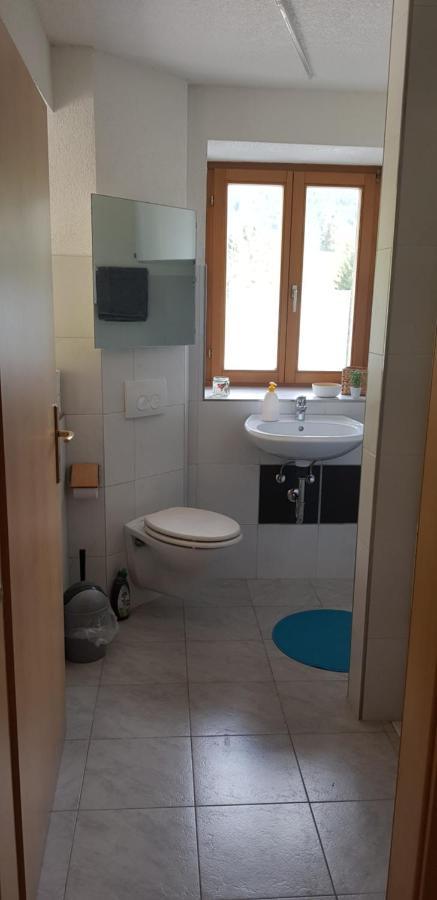 Apartment Natururlaub Muggenbrunn Todtnau
