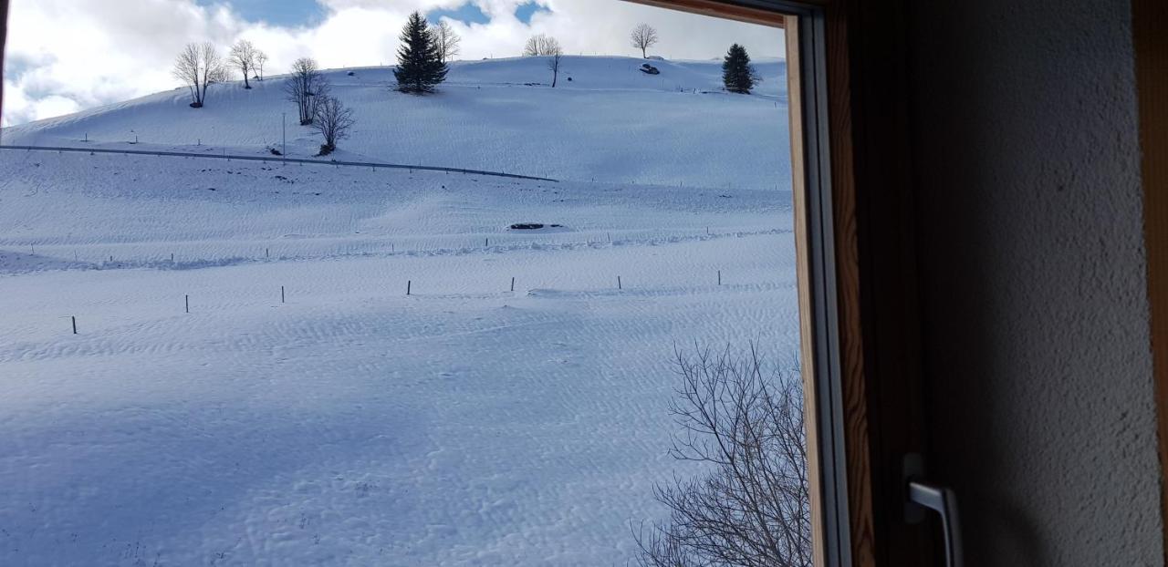Apartment Natururlaub Muggenbrunn